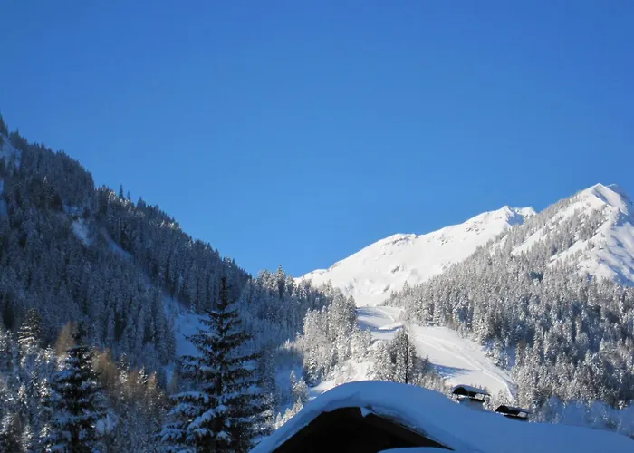 Am Muehlbach - Luttinger Casa de hóspedes 3*